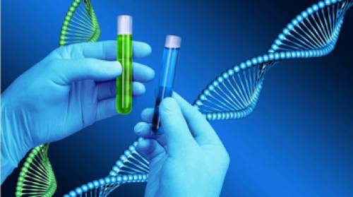 Establishing paternity through DNA